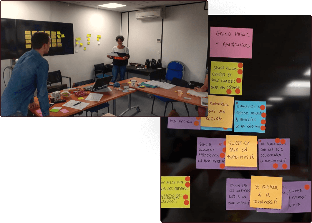 Photos des ateliers pour l'OFB