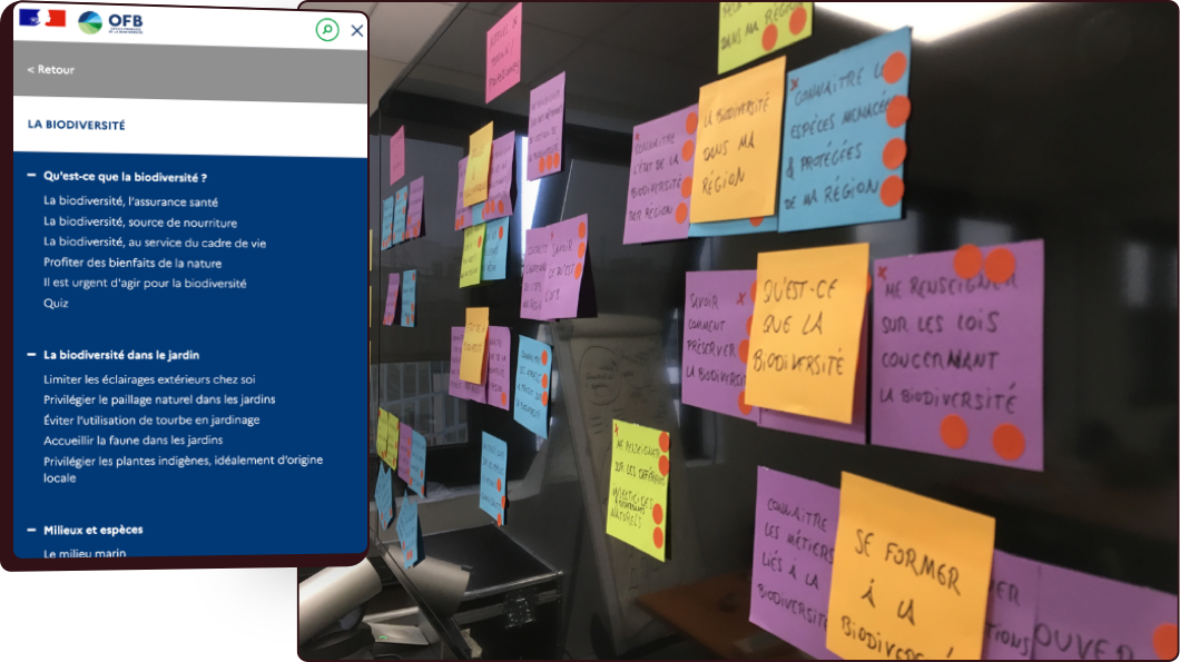 Visuel de couverture pour le projet OFB